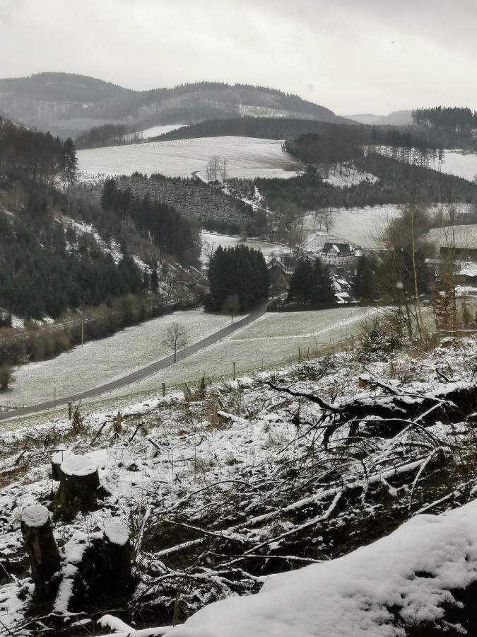 Kleines Ferienhaus Mit Charme Meschede Kültér fotó